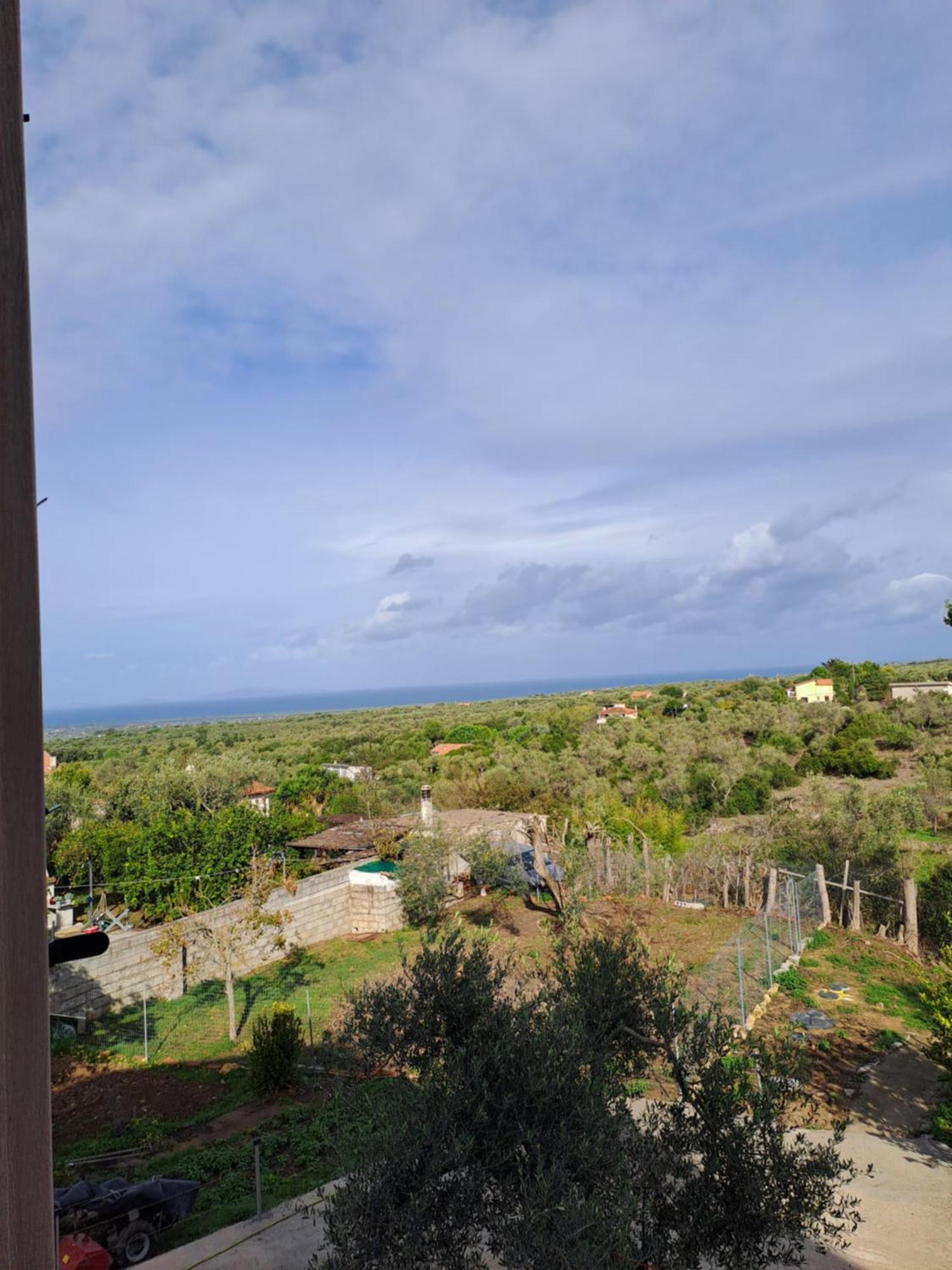 Villa Andres Sassari Exterior foto
